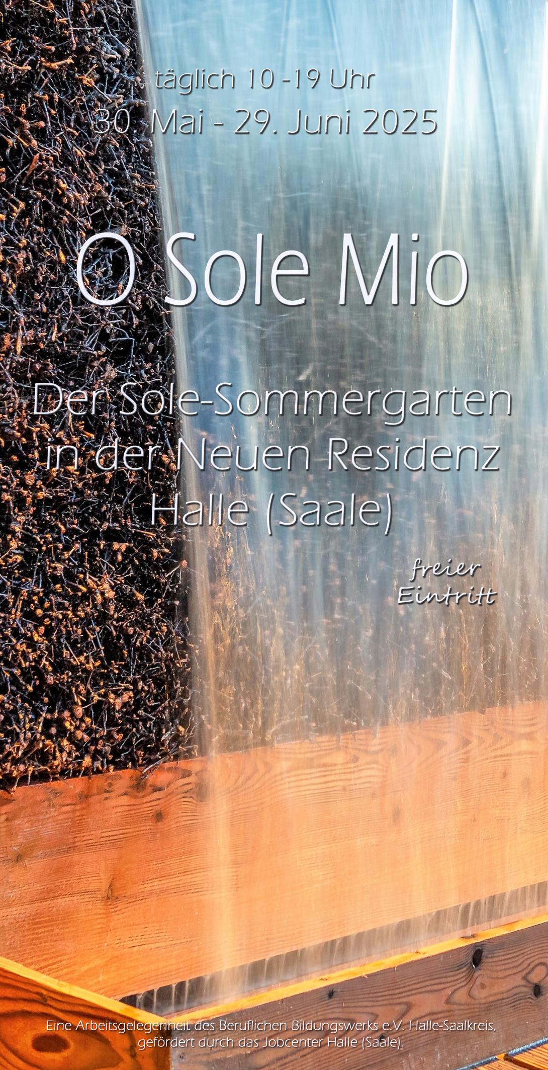Sommergarten 2025 Sommer 2025
